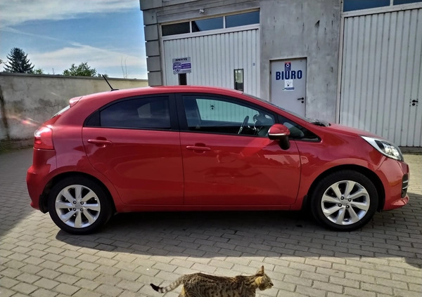 Kia Rio cena 37900 przebieg: 120000, rok produkcji 2016 z Bełżyce małe 326